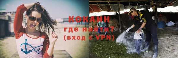 Альфа ПВП Аркадак