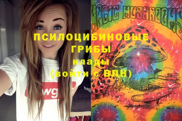а пвп мука Арсеньев