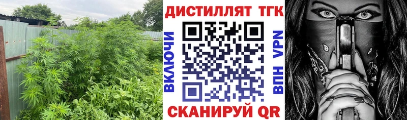 купить наркотики цена  Новый Оскол  ТГК жижа 