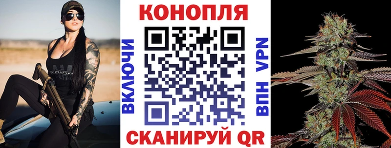 Каннабис Amnesia Новый Оскол